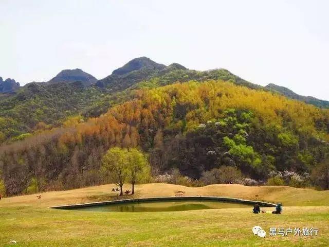 进昌平区用进京证吗?游戏画面